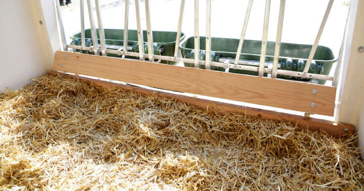 KERBL CalfHouse Premium XXL mit Umzäunung